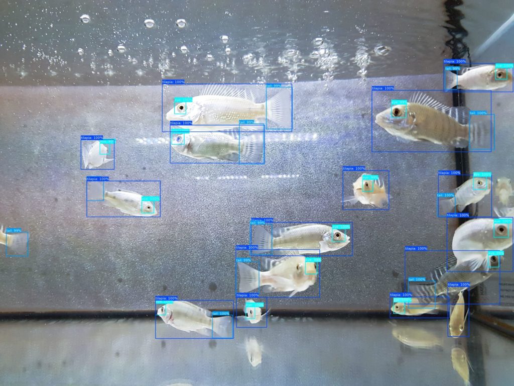 Blue Planet Ecosystems – will Fische in der Wüste züchten