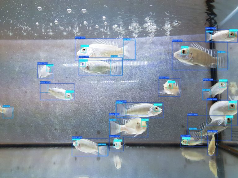 Blue Planet Ecosystems – will Fische in der Wüste züchten