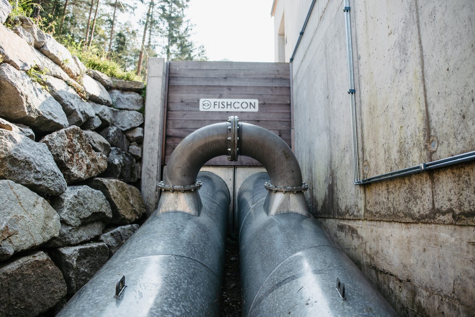 FISHCON: Innovation für Fischwanderung und Klimaschutz - STARTUPS ...